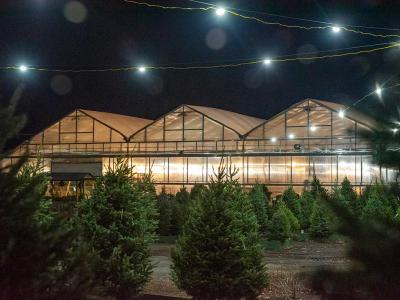 Holiday Market Nov 29/30 Large Spot Weekend 1 12x6 (Large)