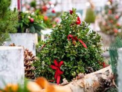 Holiday Market Dec 6/7 Large Spot Weekend 2 12x6 (Large)