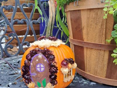 Carved Pumpkin Fairy House Class October 29th (Wed) 6:00pm-7:00pm